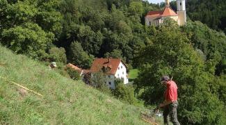 Landschaftspflege Schlossbergleiten Breitenbrunn (Sebastian Altenthan)